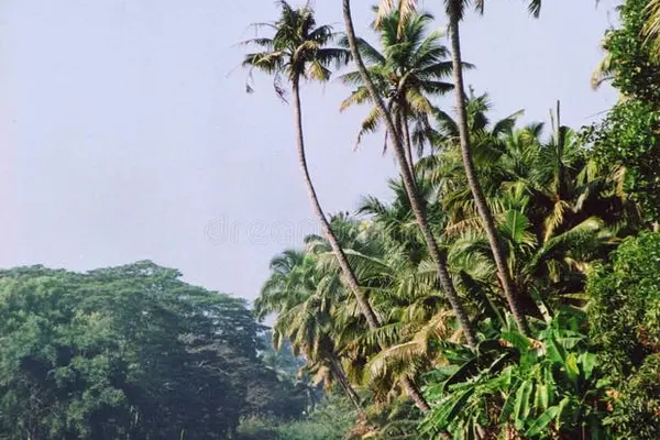 Kottayam Kerala
