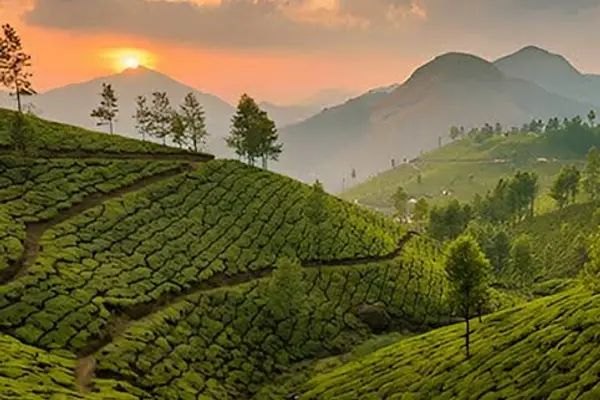 Munnar / Idukki