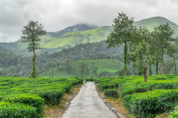 Wayanad
